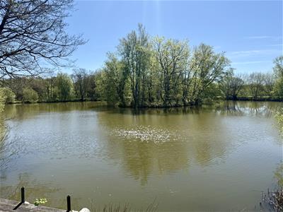 Picture 45